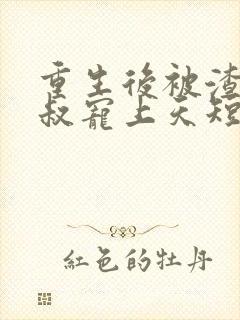 重生后被渣男小叔宠上天短剧