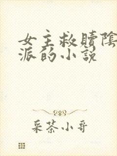 女主救赎阴暗反派的小说