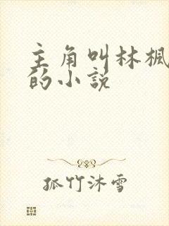 主角叫林枫穿越的小说