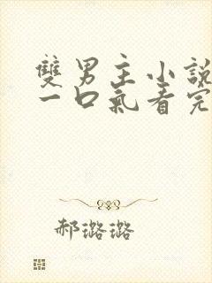 双男主小说完结一口气看完