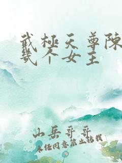 武极天尊陈天极几个女主