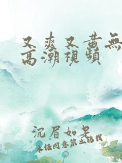 又爽又黄无遮挡高潮视频