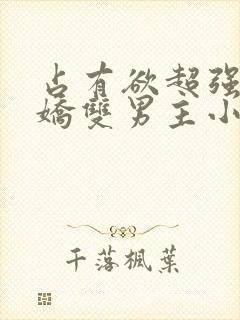 占有欲超强的病娇双男主小说推荐