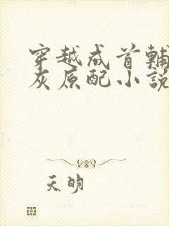 穿越成首辅的炮灰原配小说免费阅读