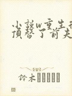 小说w重生后我顶替了前夫白月光,