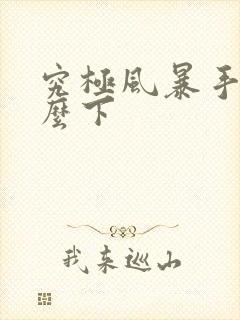 究极风暴手游怎么下