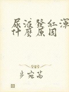 尿液发红浑浊是什么原因