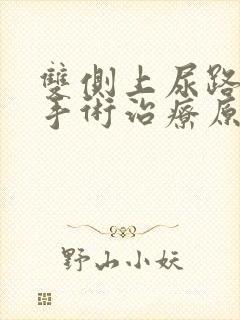 双侧上尿路结石手术治疗原则