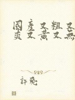 国产又粗又猛又爽又黄又无遮挡