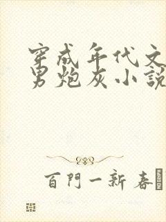 穿成年代文里的男炮灰小说