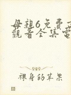 母亲6免费高清观看全集电视剧