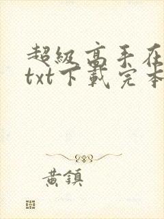 超级高手在都市txt下载完本