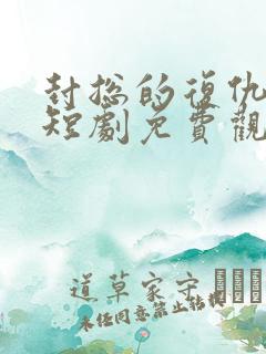 封总的复仇娇妻短剧免费观看完整版