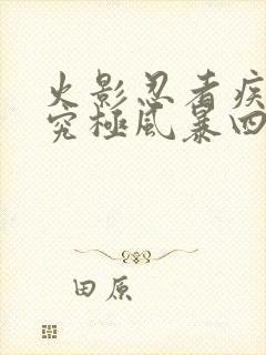 火影忍者疾风传究极风暴四