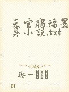 天官赐福墨香铜臭小说.txt
