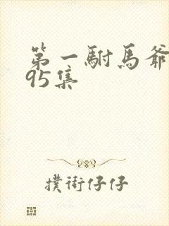 第一驸马爷短剧95集