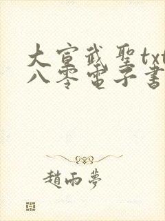 大宣武圣txt八零电子书