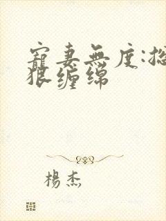 宠妻无度:总裁狠缠绵