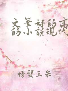文笔好的高质量的小说现代言情推荐
