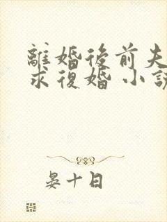 离婚后前夫哭着求复婚 小说全集完整版