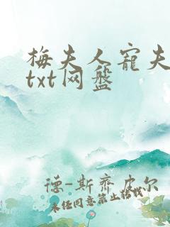 梅夫人宠夫日常txt网盘