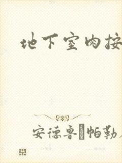 地下室肉按摩椅