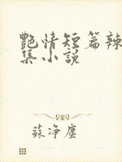 艳情短篇辣文合集小说