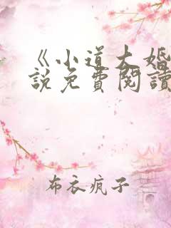 《小道大婚》小说免费阅读