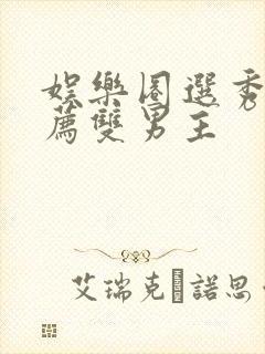 娱乐圈选秀文推荐双男主