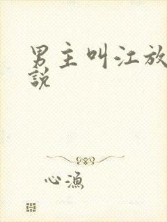 男主叫江放的小说