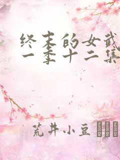 终末的女武神第一季十二集全