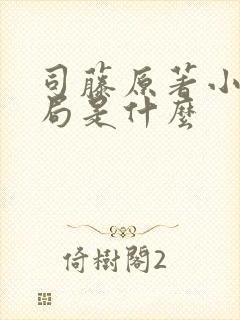 司藤原著小说结局是什么