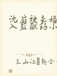 沈庭被未婚妻送入监狱的小说