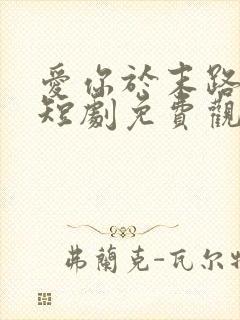 爱你于末路归途短剧免费观看高清