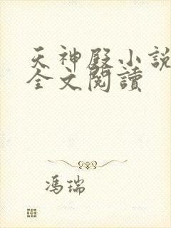 天神殿小说免费全文阅读