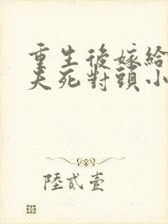 重生后嫁给了前夫死对头小说在线看