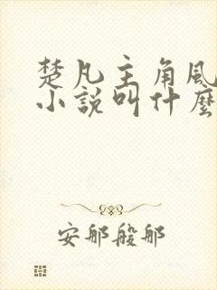 楚凡主角风柔的小说叫什么