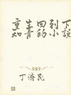 重生回到下乡当知青的小说