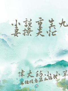 小说重生九零甜妻撩夫忙