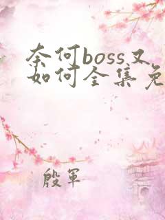 奈何boss又如何全集免费观看