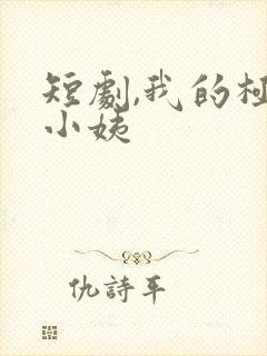 短剧,我的极品小姨