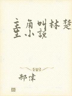 主角叫林楚的重生小说