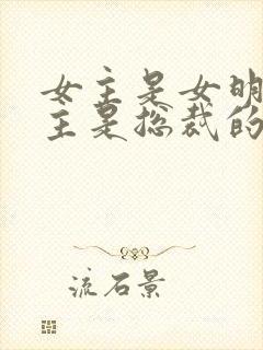 女主是女明星男主是总裁的小说