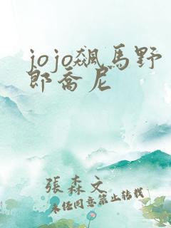 jojo飙马野郎乔尼