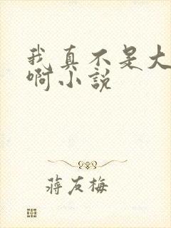 我真不是大反派啊小说