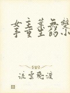 女主叶无双是杀手重生的小说