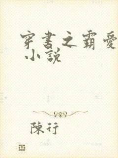 穿书之霸爱反派 小说