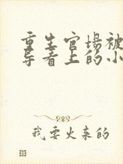 重生官场被大领导看上的小说