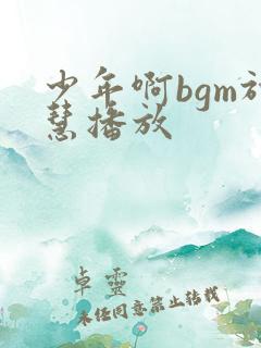 少年啊bgm于慧播放