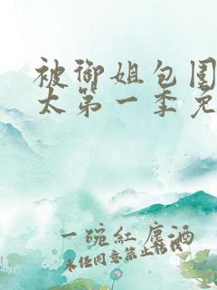 被御姐包围的正太第一季免费播放